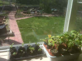 Home